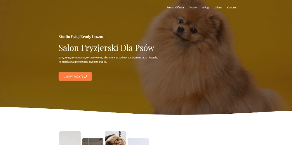 studiopsiejurody_new